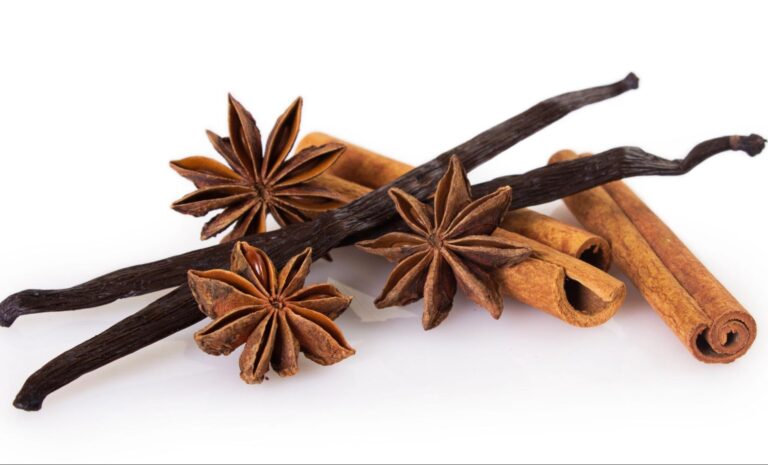 Especiarias naturais como canela em pau, anis-estrelado e favas de baunilha sobre fundo branco. Essas opções são excelentes para substituir açúcar, adicionando doçura e aroma às receitas de forma saudável.